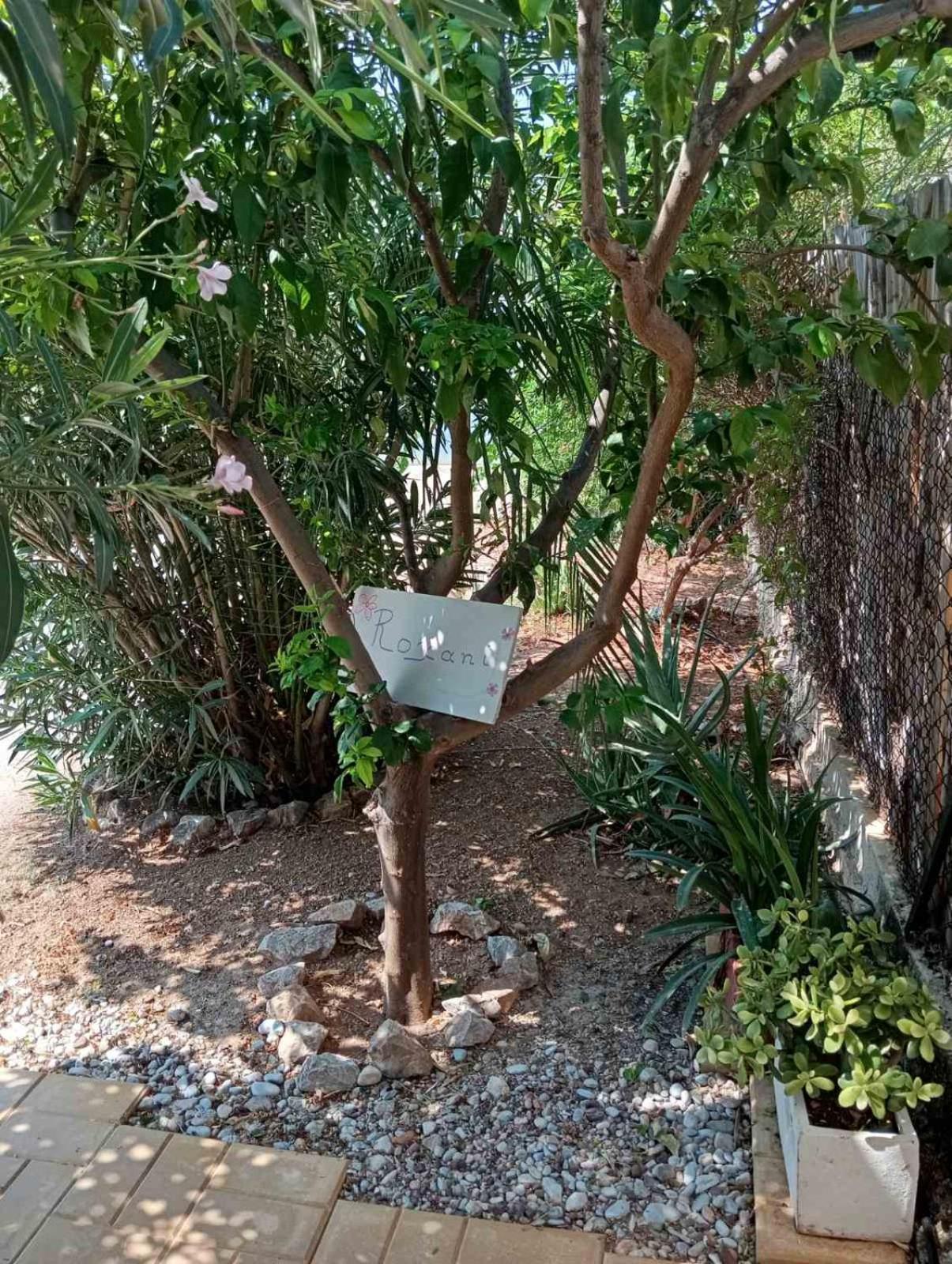 Εξοχικό Roxani Villa Ambelakia Kültér fotó