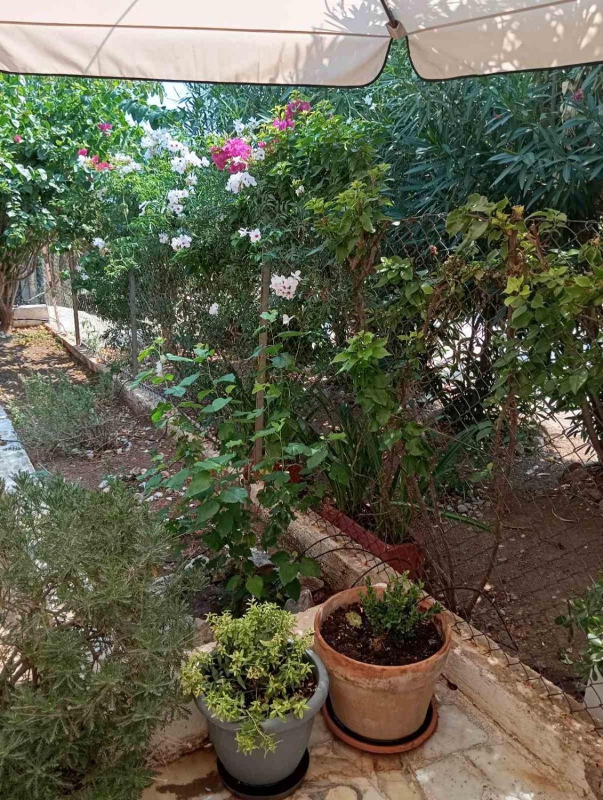 Εξοχικό Roxani Villa Ambelakia Kültér fotó